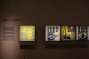 Wasp_exhibition__DSC3465